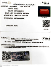 6.63/CT Natural Red Coral With Govt. Lab Certificate-12377D50201